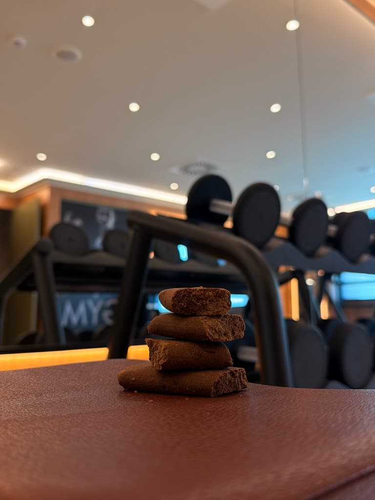 Barrita AnyBug apilada en un banco de gimnasio